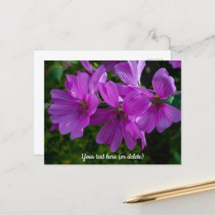 Tarjeta postal de Malva arbórea