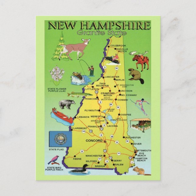 Tarjeta postal de mapa ilustrado de New Hampshire (Anverso)