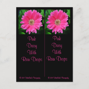 Tarjeta postal de marcadores de margarita rosa