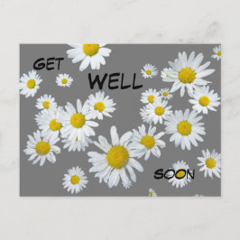 Tarjeta postal de margaritas blancas color persona