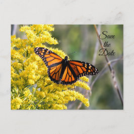 Tarjeta Postal de Mariposa Monarca para Guardar la