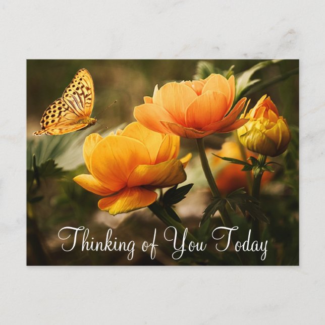 Tarjeta postal de mariposa y flores (Anverso)