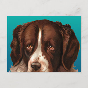 Tarjeta postal de Max el perro grande