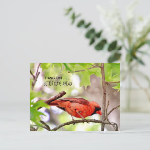 Tarjeta postal de Mejores Días Vendrán