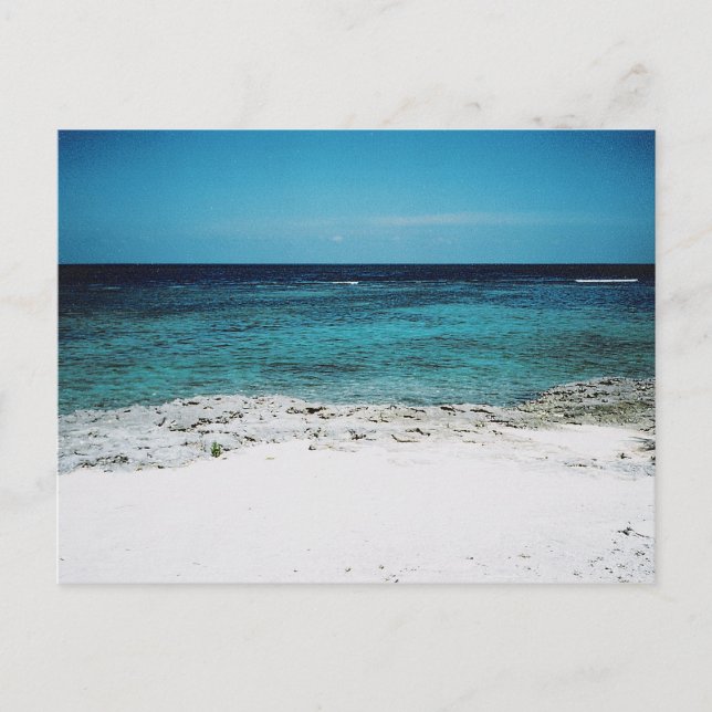 Tarjeta postal de mirada tropical (Anverso)