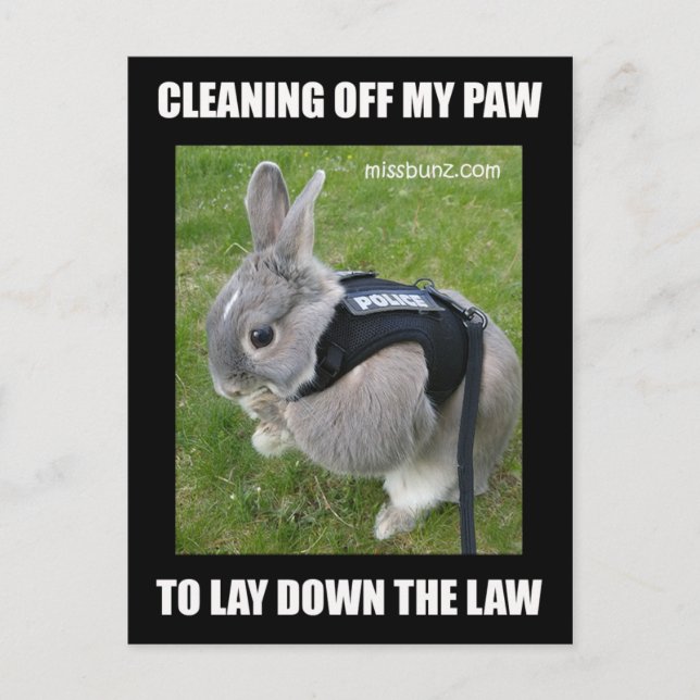 Tarjeta postal de Miss Bunz para la limpieza (Anverso)