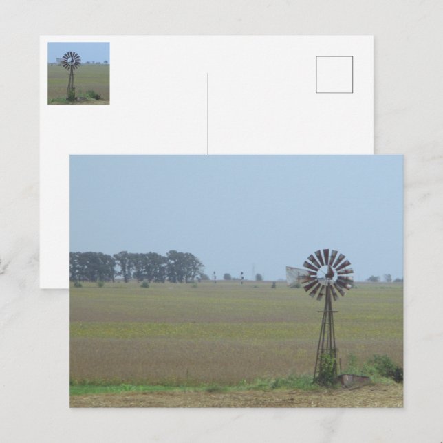 Tarjeta postal de molino de viento rural (Anverso / Reverso)