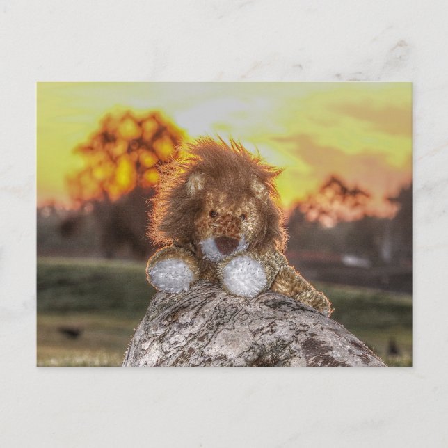 Tarjeta postal de muñeco de león al amanecer (Anverso)