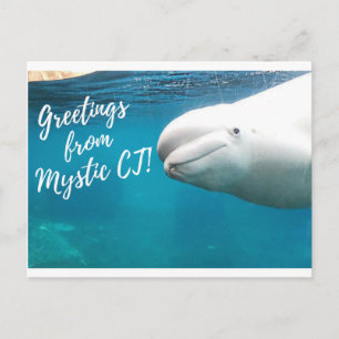 Tarjeta postal de Mystic CT - firma del artículo d