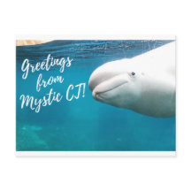 Tarjeta postal de Mystic CT - firma del artículo d