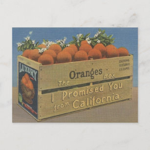 Tarjeta postal de Naranjas de California de Vintag