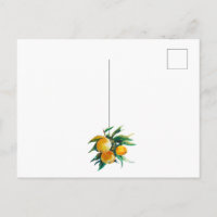 Tarjeta postal de naranjas y flores