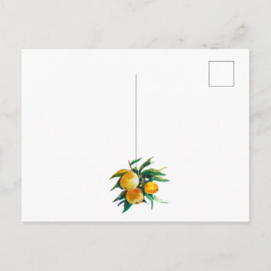 Tarjeta postal de naranjas y flores