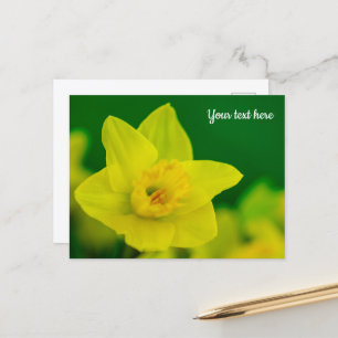 Tarjeta postal de narcisos