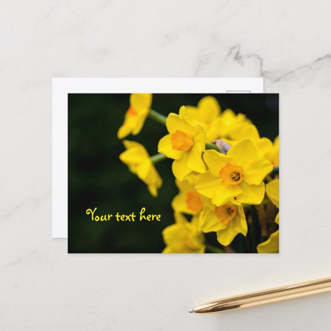 Tarjeta postal de narcisos (Anverso/Reverso In Situ)