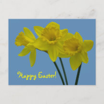 Tarjeta postal de narcisos "Feliz Pascua"