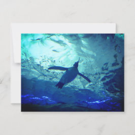 Tarjeta postal de natación en pingüino