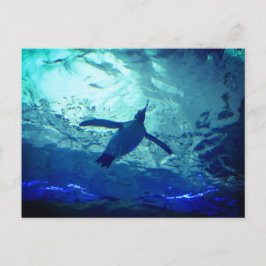 Tarjeta postal de natación en pingüino