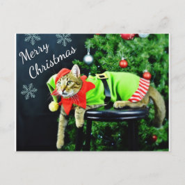 Tarjeta postal de navidad