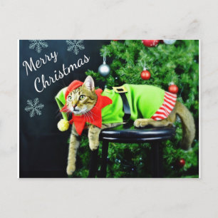 Tarjeta postal de navidad