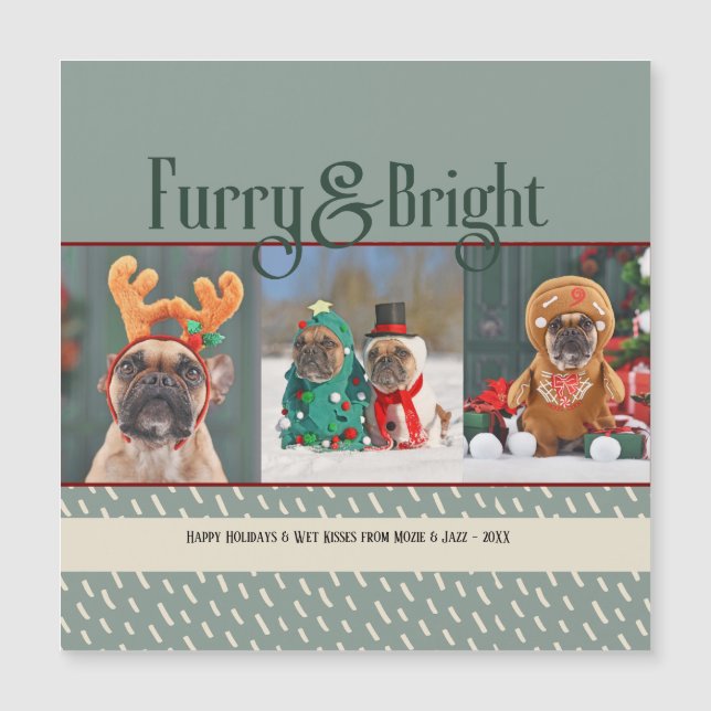 Tarjeta postal de Navidad con foto de perro brilla (Anverso)