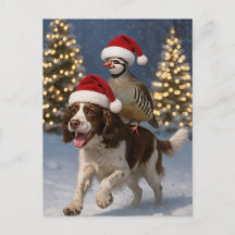 Tarjeta postal de Navidad con Springer Spaniel y p