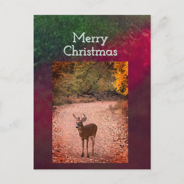 Tarjeta Postal de Navidad de Ciervos (Anverso)