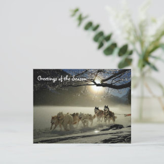 Tarjeta postal de Navidad de perros de trineo Husk