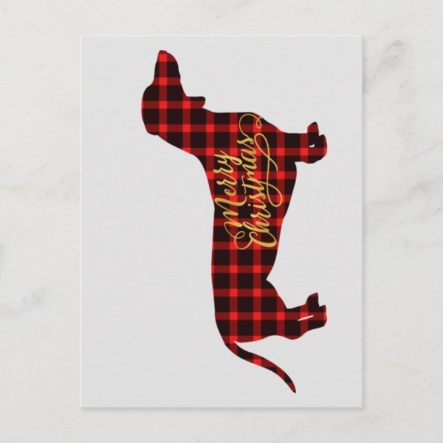 Tarjeta postal de Navidades de Buffalo Plaid Dachs (Anverso)