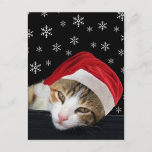 Tarjeta postal de Navidades gatos festivos