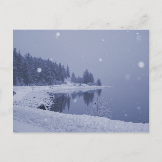 Tarjeta postal de nevada en la costa (Anverso)