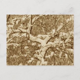 Tarjeta Postal de Nieve