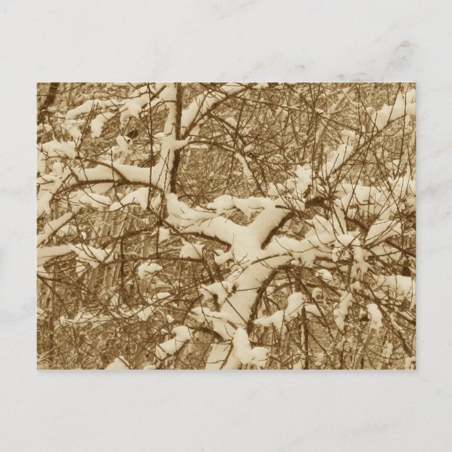 Tarjeta Postal de Nieve (Anverso)
