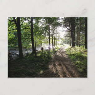 Tarjeta postal de Northumberland "Walk Near River"