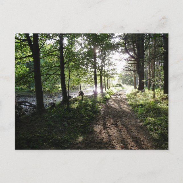 Tarjeta postal de Northumberland "Walk Near River" (Anverso)