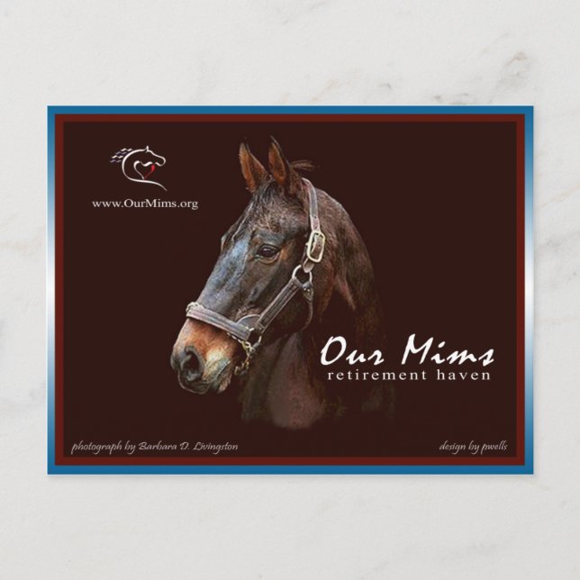 Tarjeta postal de nuestro tributo a Mims (Anverso)