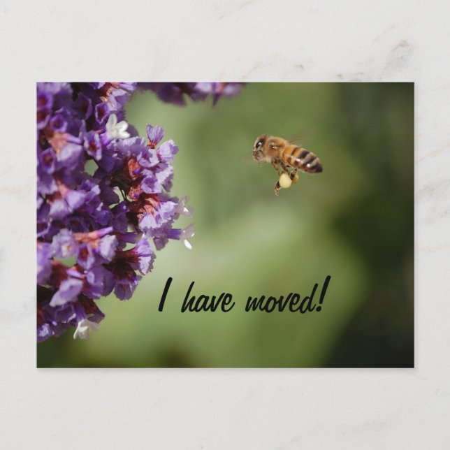 Tarjeta postal de nueva dirección (Anverso)