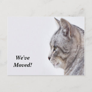 Tarjeta Postal de Nueva Dirección de Tiffany