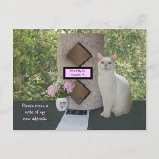 Tarjeta postal de nueva dirección femenina