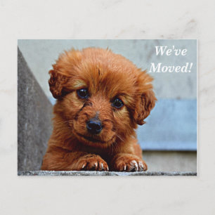 Tarjeta Postal de Nueva Dirección Nos Hemos Mudado