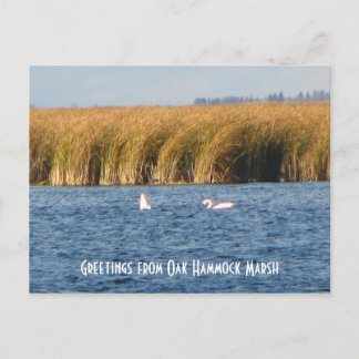 Tarjeta postal de Oak Hammock Marsh