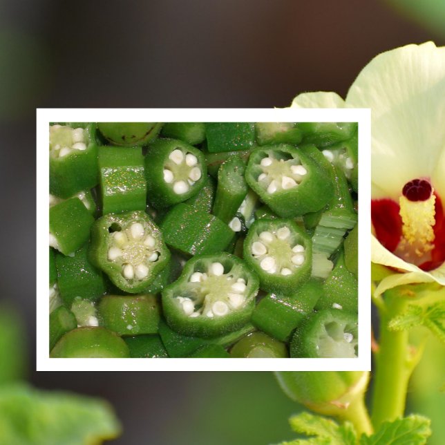 Tarjeta postal de okra en rodajas (Subido por el creador)