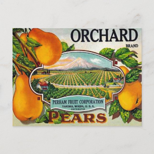 Tarjeta postal de Orchard Vintage