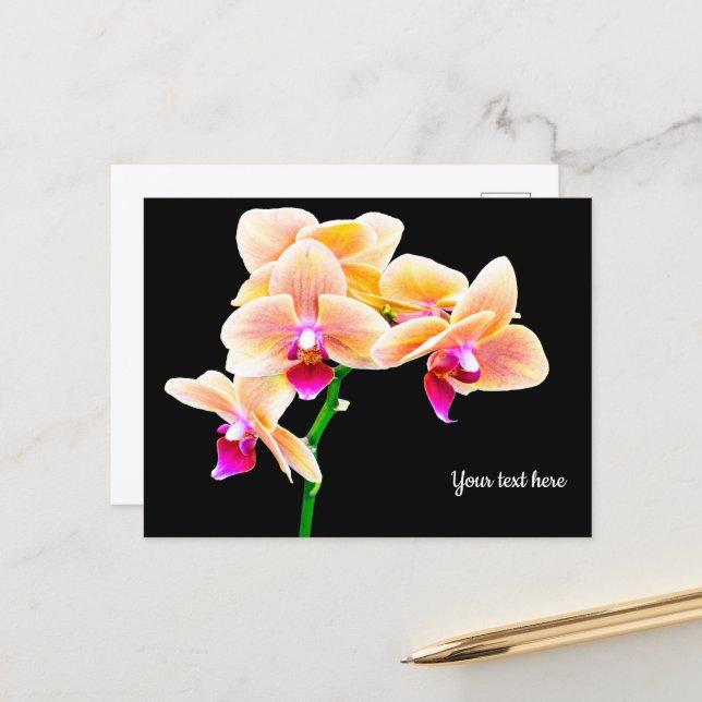 Tarjeta postal de orquídea (Anverso/Reverso In Situ)