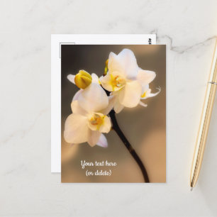 Tarjeta postal de orquídea blanca