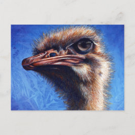 Tarjeta postal de Ostrich
