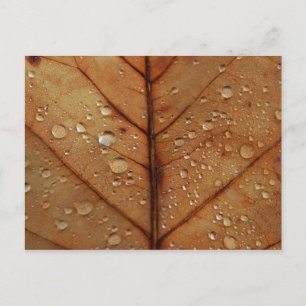 Tarjeta postal de otoño