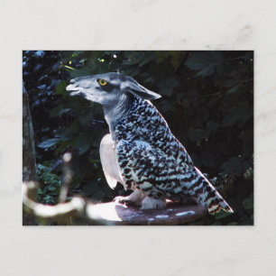 Tarjeta postal de Owlama