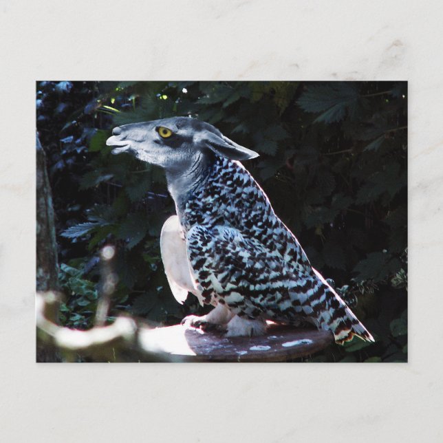 Tarjeta postal de Owlama (Anverso)