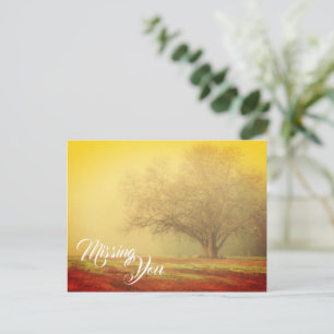 Tarjeta Postal de Paisaje de Ausencia